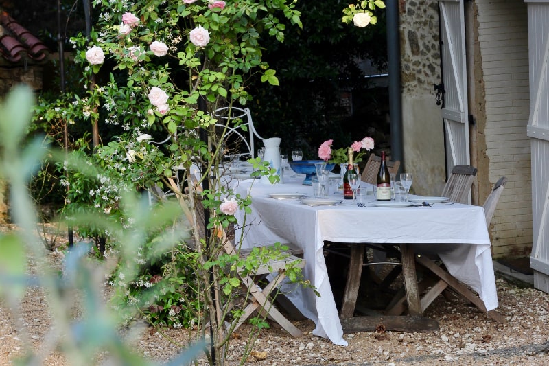 Dining Terrace